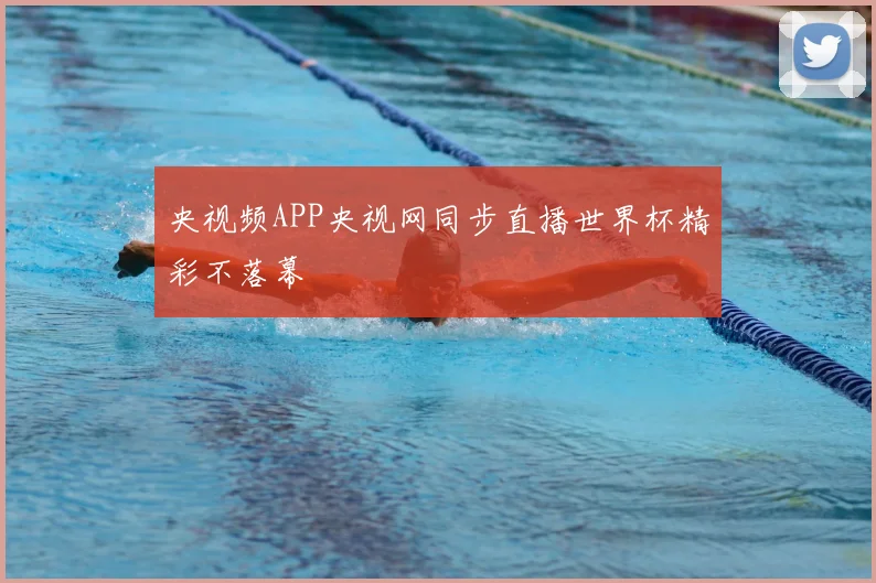央视频APP央视网同步直播世界杯精彩不落幕