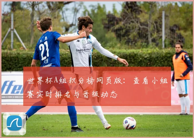 世界杯A组积分榜网页版：查看小组赛实时排名与晋级动态