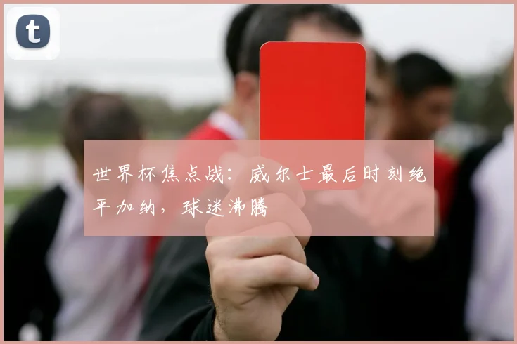 世界杯焦点战：威尔士最后时刻绝平加纳，球迷沸腾